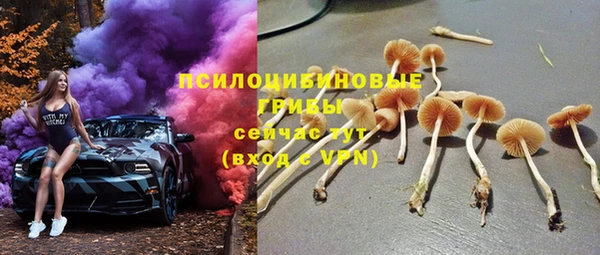 амф Арсеньев