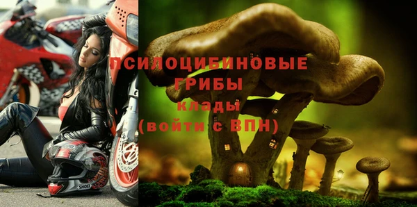 амф Арсеньев